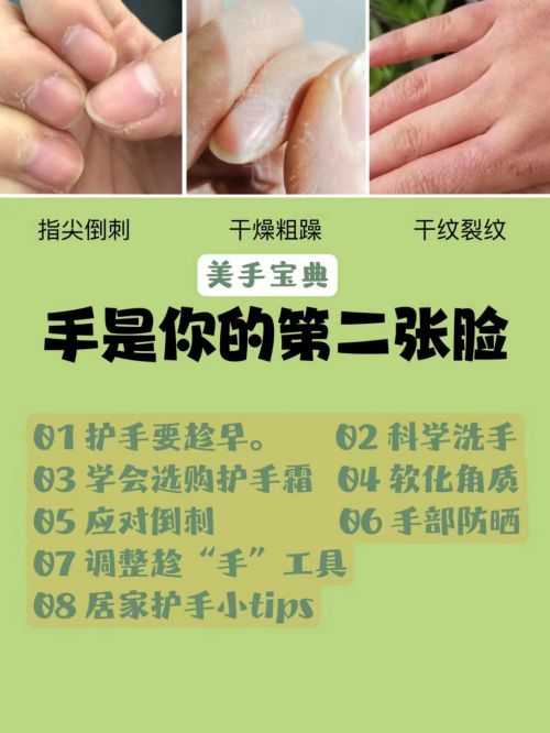 用？护手霜真香铁律罕见宝藏推荐！j9国际站登录护手霜哪个牌子最好(图2)