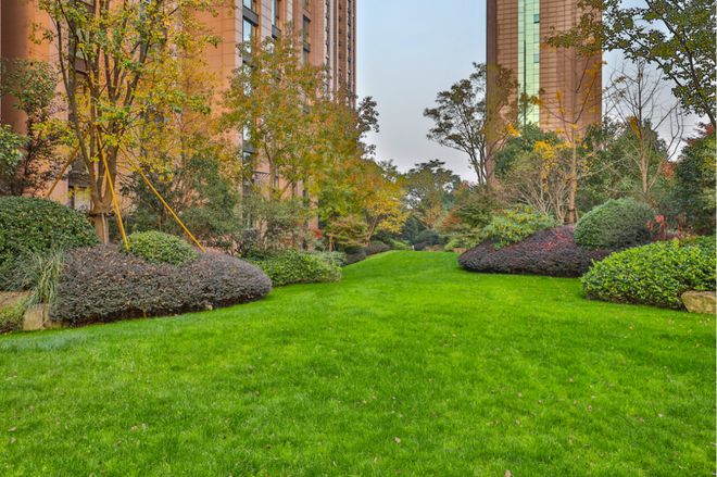 站-2025楼盘评测_中环名品公馆配套户型九游会j9登录中环名品公馆(普陀)首页网(图11)